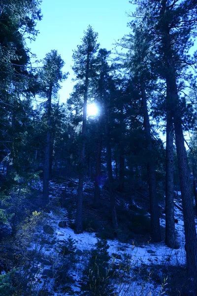 DSC_5048 (Large).JPG